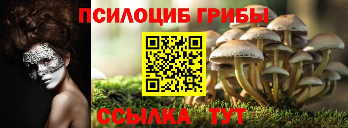 Псилоцибиновые грибы Psilocybe  даркнет сайт  Галлюциногенные грибы прущие грибы  Ликино-Дулёво  Вход с VPN 