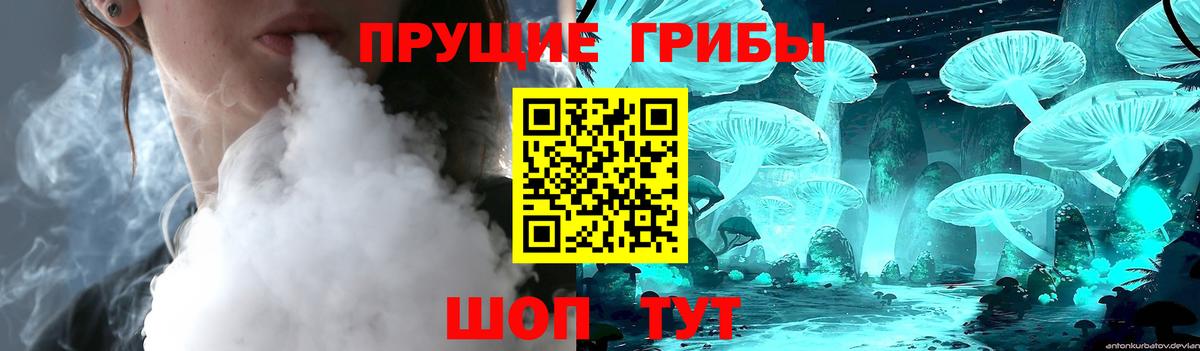 Псилоцибиновые грибы Cubensis Ликино-Дулёво